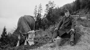 La Vache et le Prisonnier — foto 1