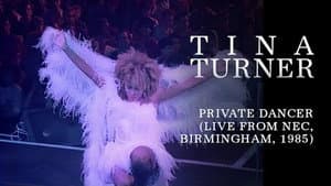 Tina Turner: Private Dancer Tour — foto 2