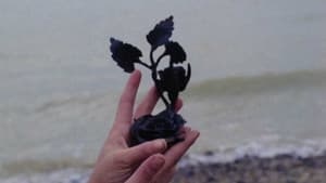 La Rose de fer — foto 12
