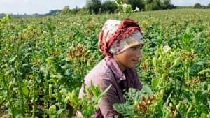 Abenteuer Türkei — foto 5