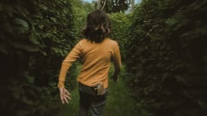In and Out of the Hornbeam Maze — foto 1