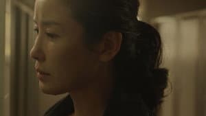 마이보이 — foto 1