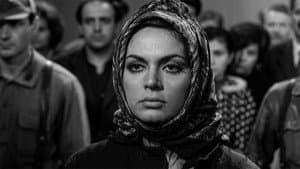 Kara Duvaklı Gelin — foto 1