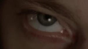 Angst — foto 10