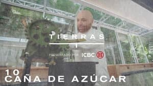 Episodio 10