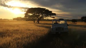 The Serengeti Rules — foto 3