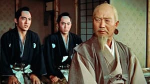 水戸黄門 助さん格さん大暴れ — foto 1