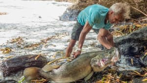 Fishing For Giants — foto 3