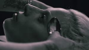 Gaga on Gaga — foto 1
