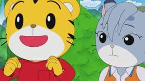 Episodio 11