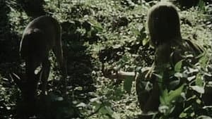 Eneide — foto 3