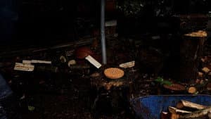 A Choppy Birthday — foto 6