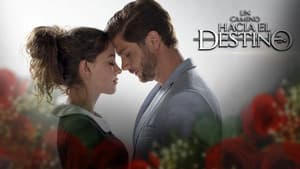 Un Camino Hacia el Destino — foto 1