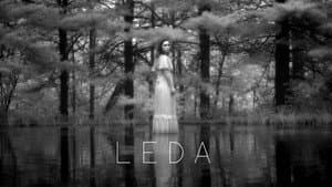 Leda — foto 1