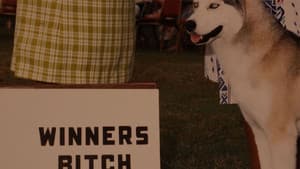 Winners Bitch — foto 1