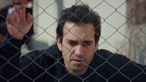 Episodio 19