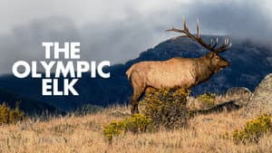 The Olympic Elk — foto 2