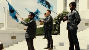Black Panthers — foto 1