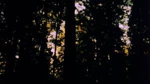 Mancoon — foto 1