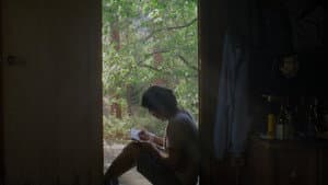 Canary — foto 2