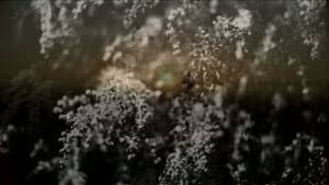leaving me — foto 1