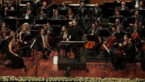 Bifo & CMYLMZ — foto 1