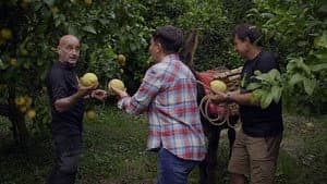 Episodio 6