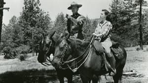 Northwest Rangers — foto 2