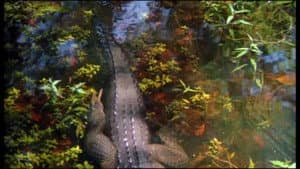 Prowlers of the Everglades — foto 2