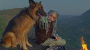द ब्लूबेरी हंट — foto 1