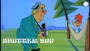 Shutter Bug — foto 1