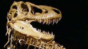 The Bones — foto 2