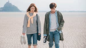 더 패키지 — foto 5
