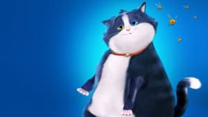 Un Gato con Suerte — foto 1