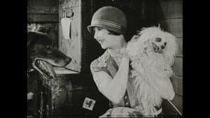Wonder Dogs! Canine Stars of the Silent Era (1898-1928) — foto 7