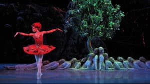 Stravinsky et les Ballets Russes: L'oiseau de feu / Le Sacre du Printemps — foto 2