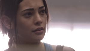 Episodio 14