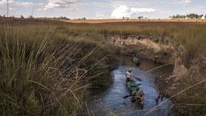 Okavango: El Alma Africana — foto 11
