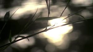Hypnosis Display — foto 2