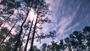Wilderness: A Country in the Mind — foto 1