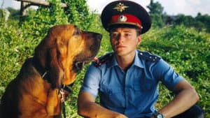 Участок — foto 1