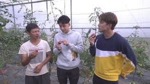 Episodio 5