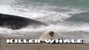 Predators of the Wild: Killer Whale — foto 1