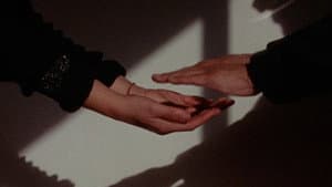 Una sombra oscilante — foto 1
