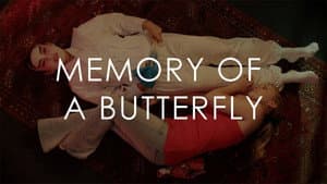 Memory of a Butterfly — foto 1