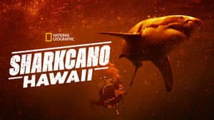 Sharkcano: Hawaii — foto 3