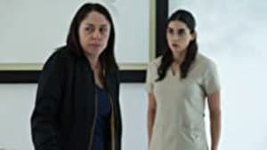 Episodio 7