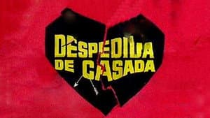 Despedida de casada — foto 1