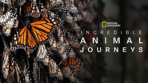 Incredible Animal Journeys — foto 2