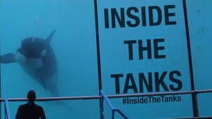 Inside the Tanks — foto 1